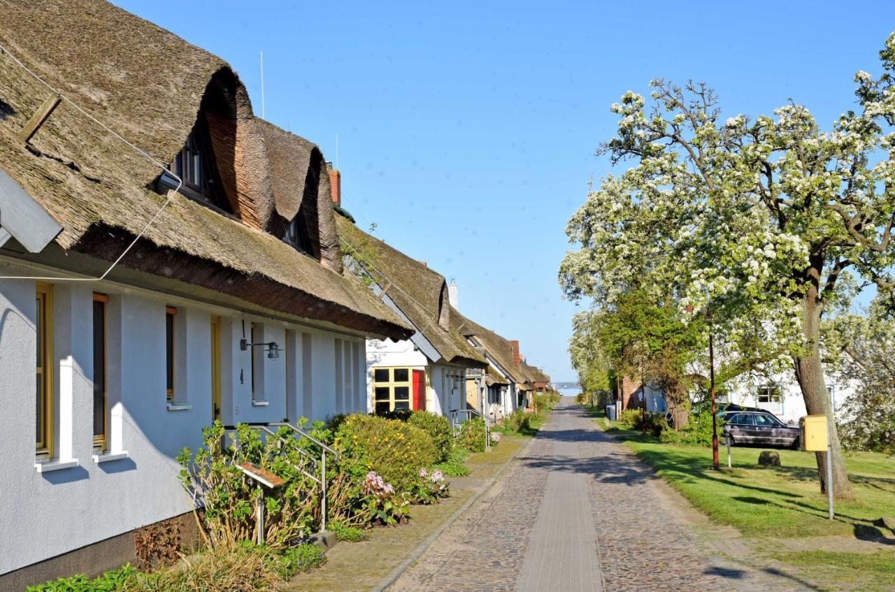 Ferienwohnungen Im Fischerdorf Und Neu Reddevitz Exterior photo